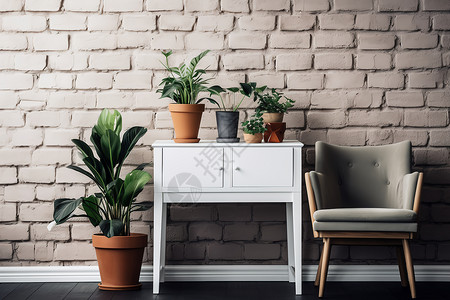 白墙植物与白椅背景图片