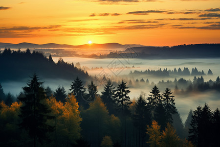 夕阳下的迷雾山谷背景图片