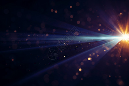 一束野菊花太空中一束明亮的光线设计图片