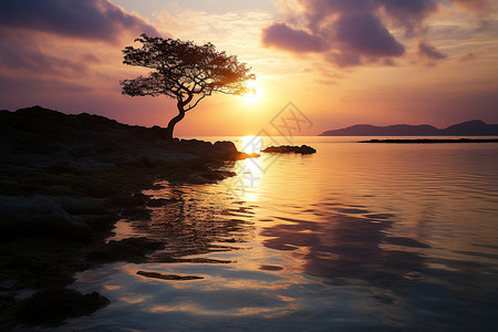 夕阳下小岛上孤独的树背景图片