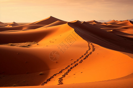 沙漠里的足迹背景图片