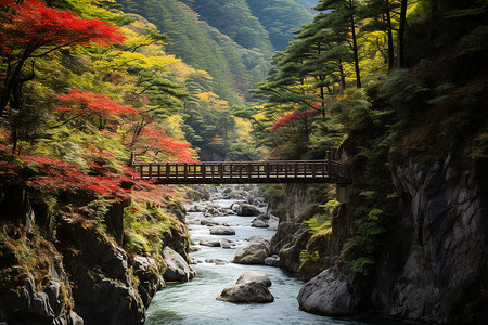 壮观的景象秋季山谷的壮观景象背景