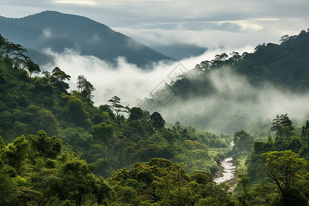 绿雾山河背景图片