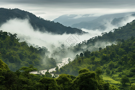 仙境之旅自然雨林高清图片