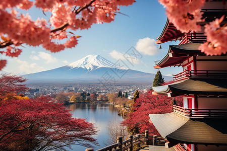 东京街灯景樱花湖上的塔景背景