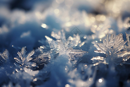 漂亮的冬日冰晶背景图片