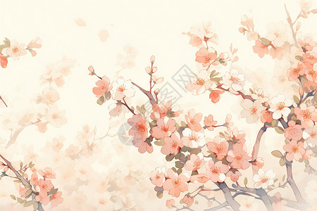 美丽绽放的樱花花朵高清图片