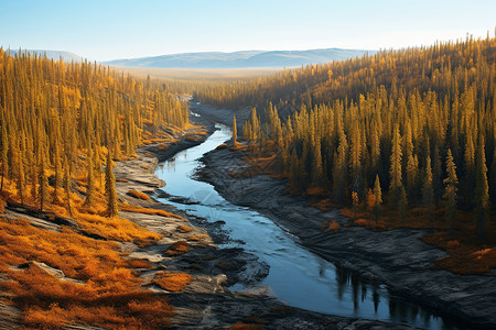 森林河流风景背景图片