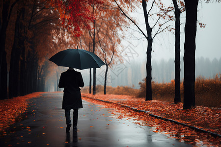 雨伞城市一个人撑着雨伞在街头背景