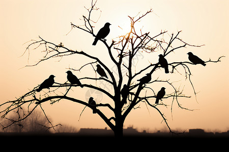 树枝上的鸟群户外树枝上自由的小鸟插画