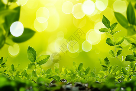 绿意悠然的绿叶背景图片