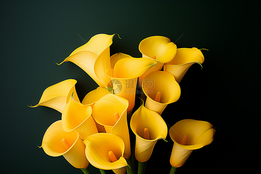 花瓶里面优雅的黄色花朵图片