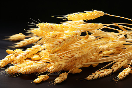 成熟的谷物麦子背景图片