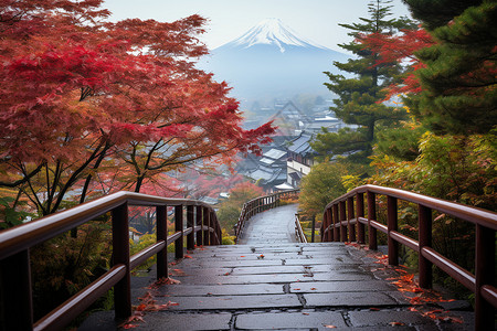 满山枫叶的秋季公园景观背景图片