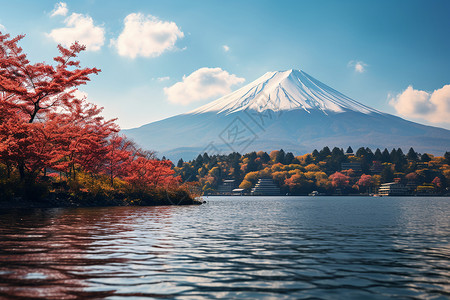 风景优美的富士山景观背景图片
