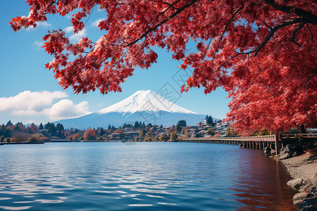 雪山下的湖泊和红叶背景图片