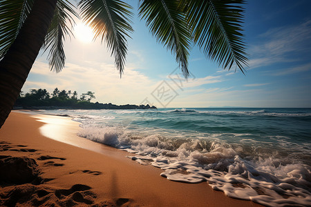 阳光沙滩上的棕榈树背景图片
