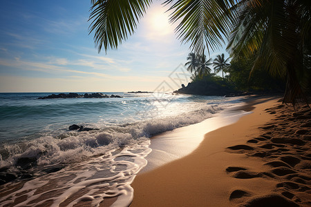 海滩上的椰树背景图片