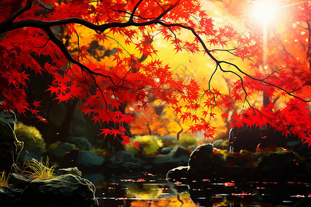 秋色斑斓的丛林景观背景图片