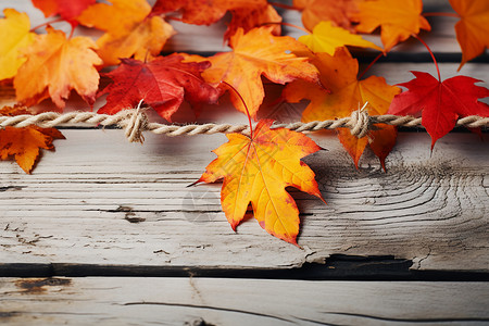 秋季枫叶装饰标签秋意浓厚的枫叶木板背景