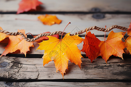 秋季枫叶装饰标签散落枫叶的木板背景
