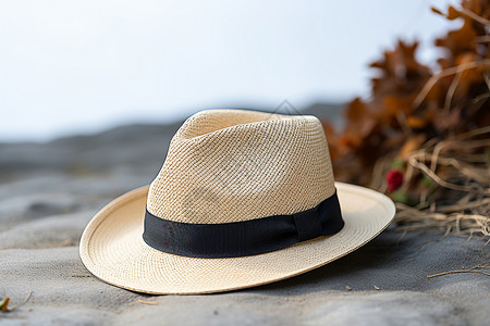 沙滩上米色的帽子背景图片