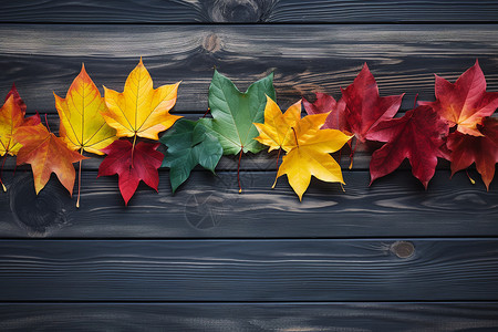 木板上的秋色背景图片
