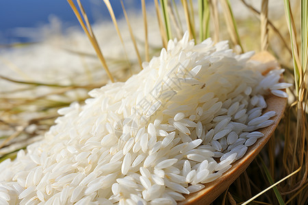 勺子里的大米背景图片