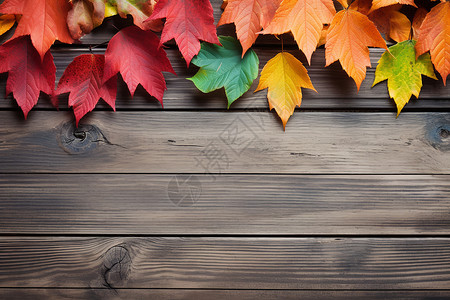 木板上秋天的落叶背景图片