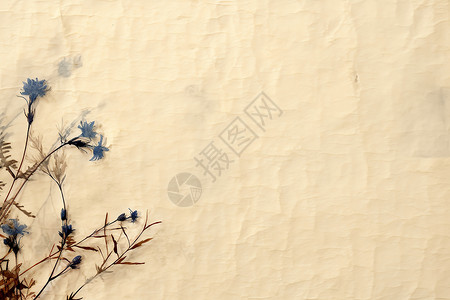 复古纸质背景褪色纸质墙纸上的花朵插画