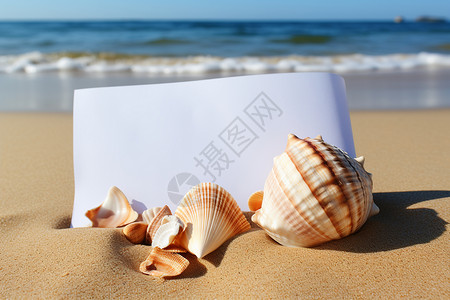 沙滩上的空白纸张背景图片