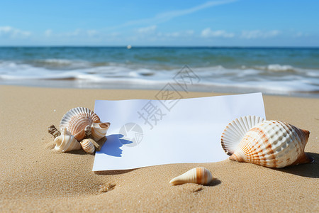 夏季沙滩上的贝壳和白纸背景图片