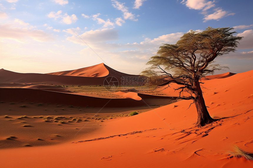 著名的沙漠景观图片
