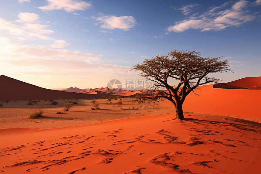 风景优美的沙漠景观图片