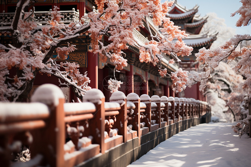 雪中的中国建筑图片