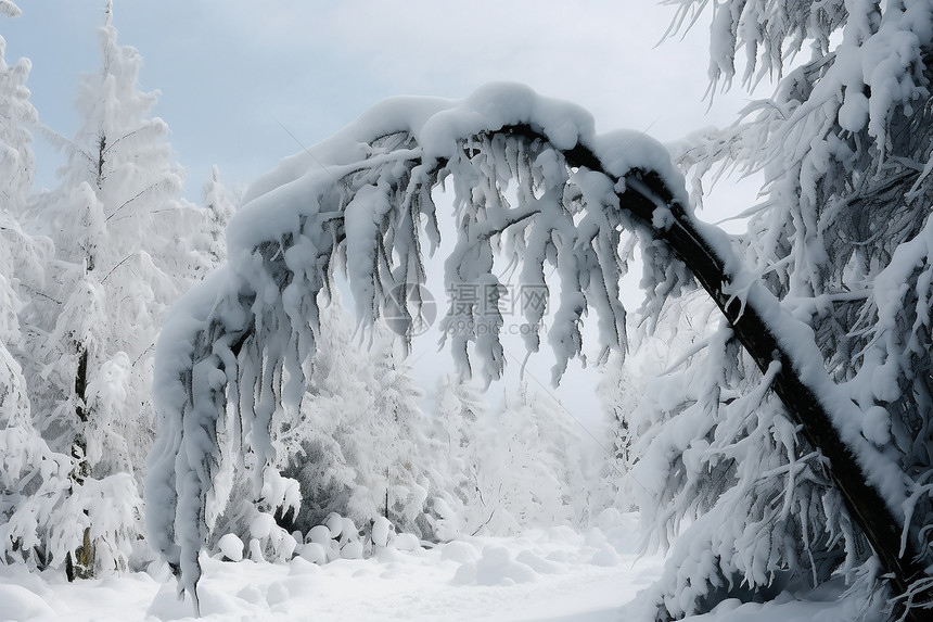 白雪皑皑的雪景图片