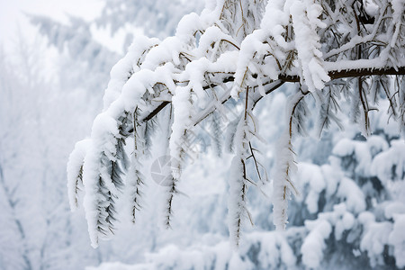 略有冻结冬日的雪景背景