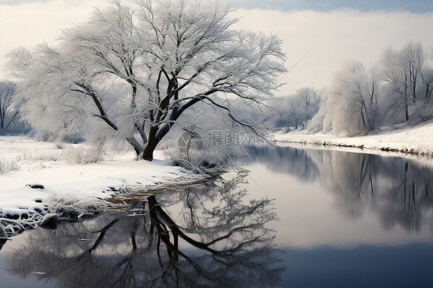 冬季白雪覆盖的湖泊景观图片
