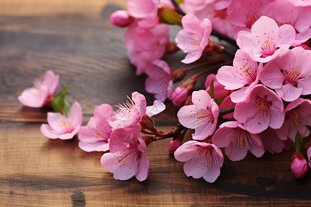 木质樱花小便签粉色花束在木质桌面上背景