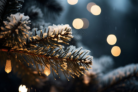 圣诞雪夜闪烁的光环高清图片