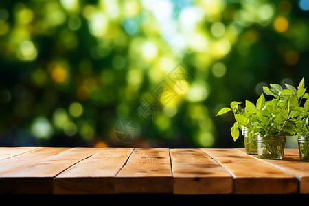 木制桌面上的两株小植物高清图片