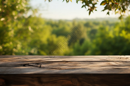 树下的木桌背景图片