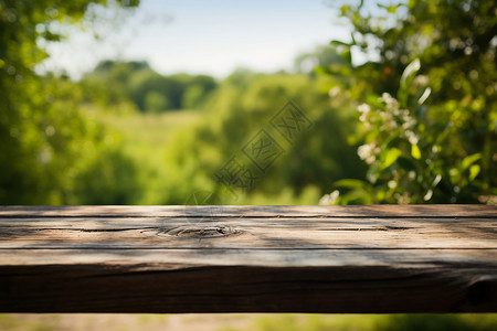 林间的木质桌子背景图片