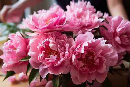 粉色的植物花朵背景图片