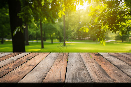 阳光明媚的花园木桌背景背景图片
