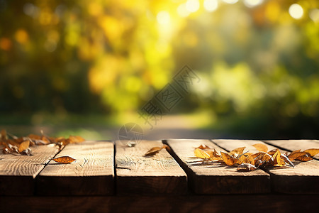 户外的木桌背景背景图片