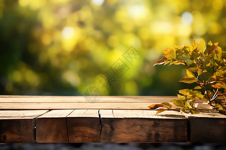 模糊花园中的木桌背景背景图片