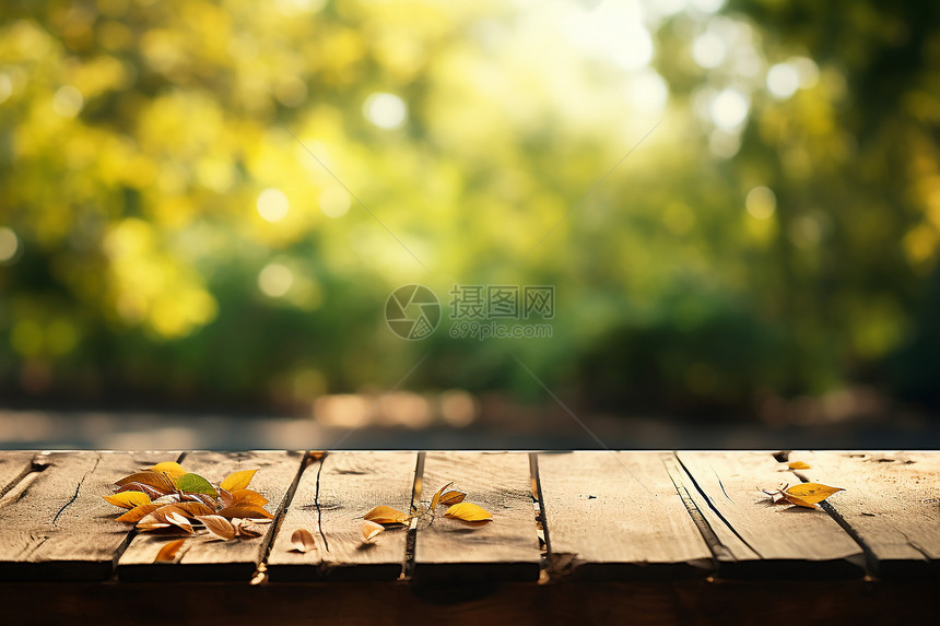 阳光明媚的花园木桌背景图片