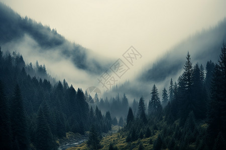山谷中的迷雾背景图片