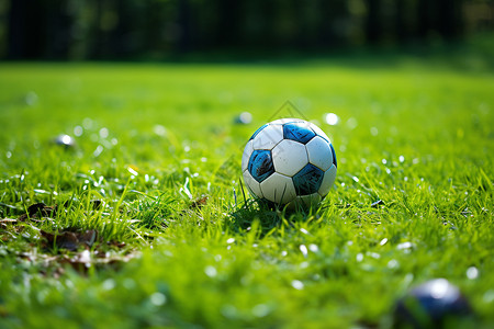 夏日绿野中的足球背景图片
